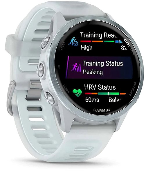 Smart Watch Garmin Forerunner 570 42mm Whitestone ...