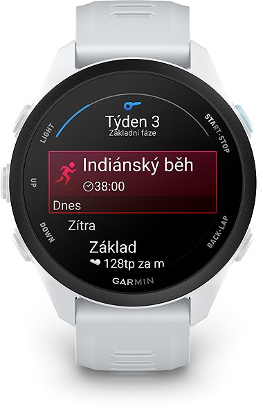 Smart Watch Garmin Forerunner 70 Whitestone ...