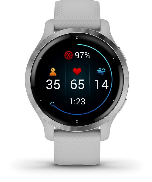 Smart Watch Garmin Venu 2S Silver/Grey Band Screen