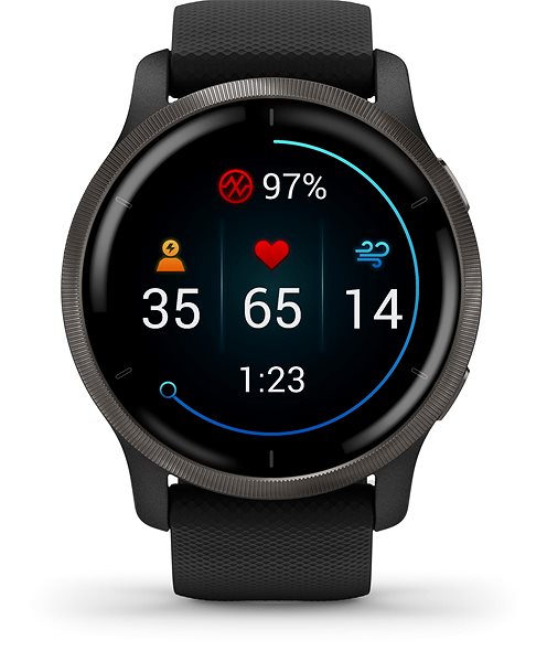 Smart Watch Garmin Venu 2 Slate/Black Band Screen
