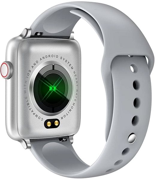 Smart Watch Printwell PW-101, Silver with Grey Strap Back page