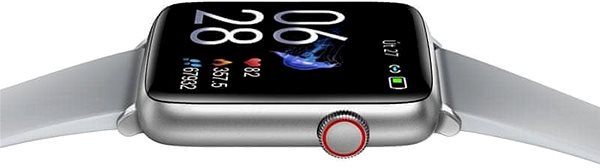 Smart Watch Printwell PW-101, Silver with Grey Strap Features/technology