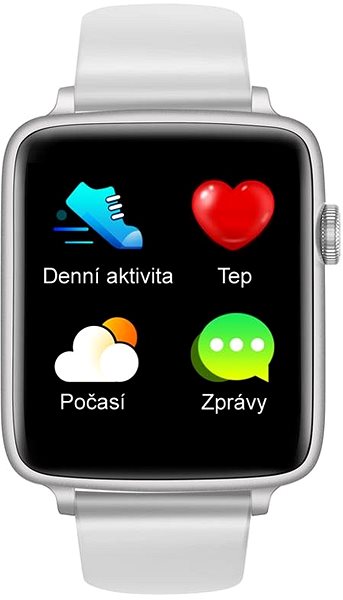 Smart Watch Printwell PW-101, Silver with Grey Strap Screen