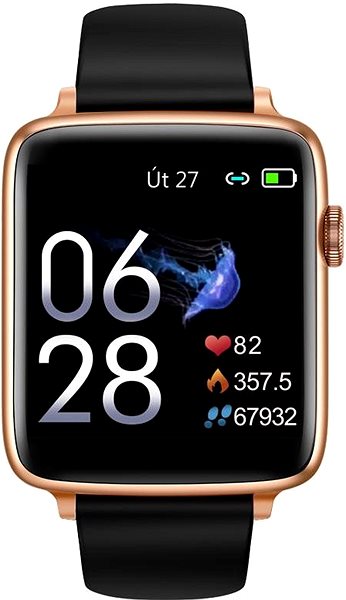 Smart Watch Printwell PW-101, Gold with Black Strap Screen
