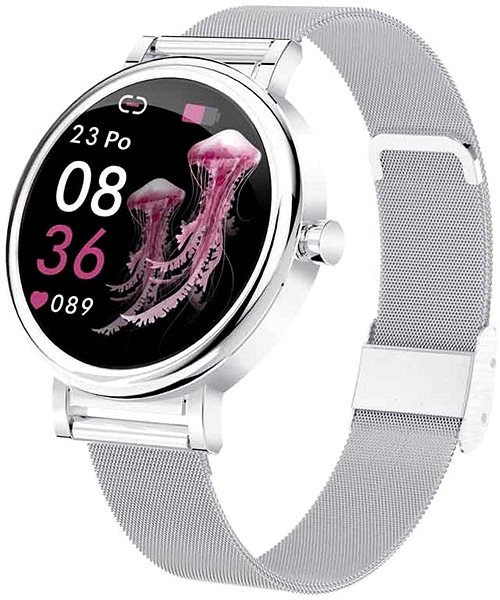 Smart Watch Printwell PW-105, Silver ...