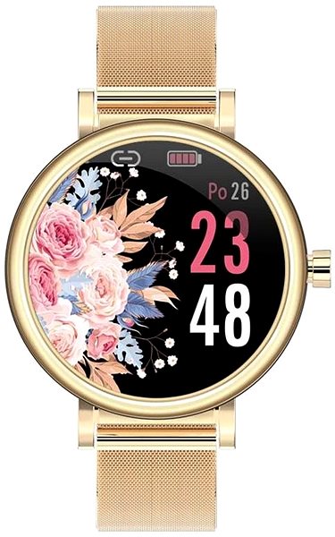 Smart Watch Printwell PW-105, Gold Screen