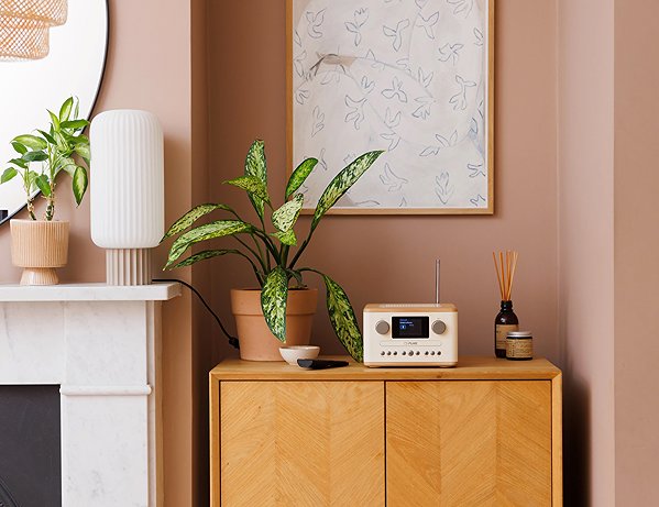 Radio PURE Classic C-D4 white/oak ...