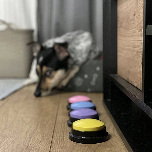 Interactive toy for dogs Purlov 24615 Dog training buttons 4 pcs
.