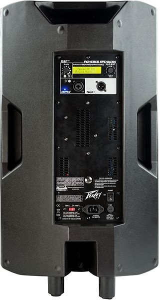 Speaker Peavey DM 115 Back page