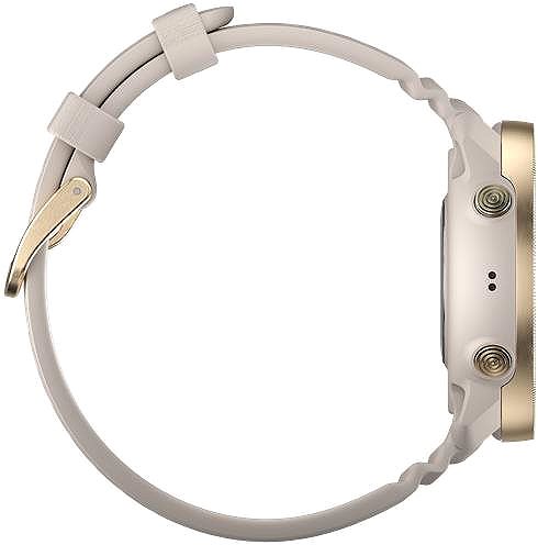 Smart Watch POLAR Vantage M3 beige-gold ...
