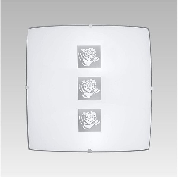 Ceiling Light Ceiling Light DELTA, 1xE27/60W/230V Lifestyle
