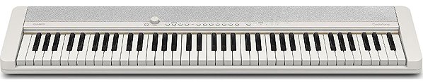 CASIO CT S1-76WE keyboard.