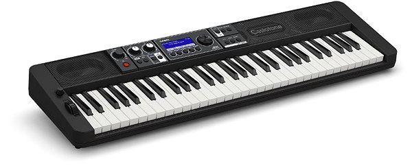 Klávesy CASIO CT S500 ...