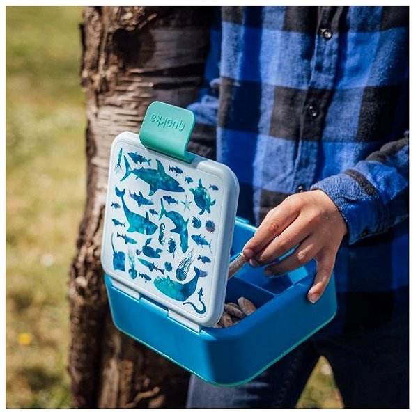 Lunch Box Quokka KIDS SEA ANIMALS NR Snack box 1 l 16,5 × 18 × 7 cm ...