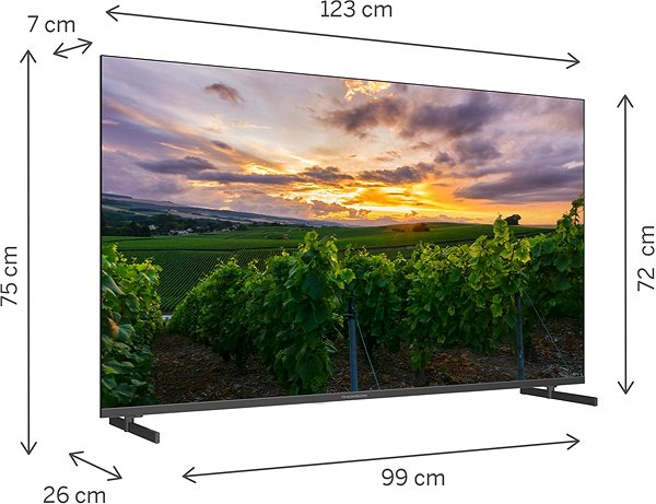 Television 55