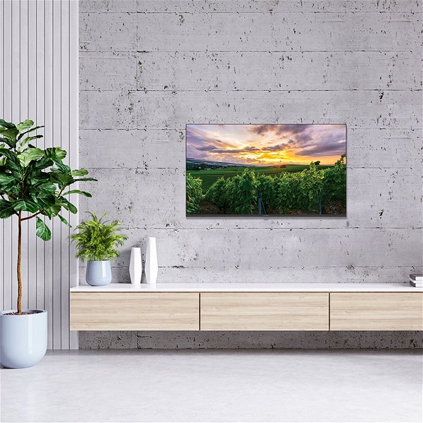 Television 55