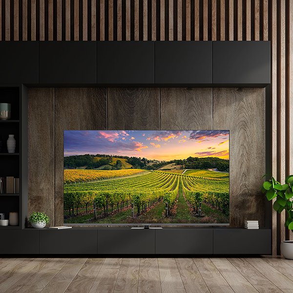 Television 75
