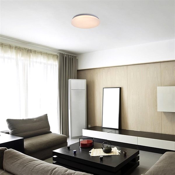 Ceiling Light Rabalux VENDEL, LED, 24 W, 3000 K, 38 cm ...