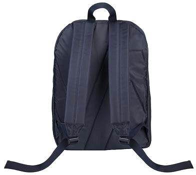 Laptop Backpack RIVA CASE 8065 15.6