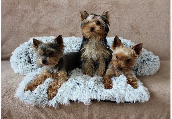 Pelíšek Merco Petsofa světle šedá, P62579 ...