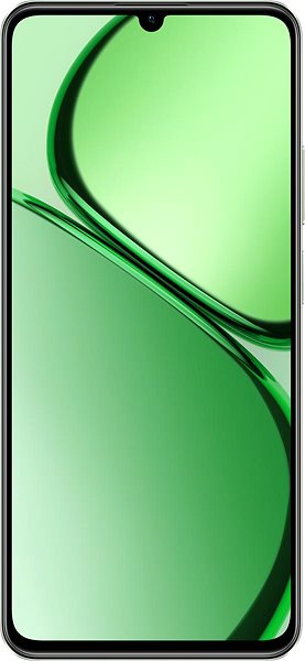 Mobile Phone Realme C63 8GB/256GB Jade Green ...