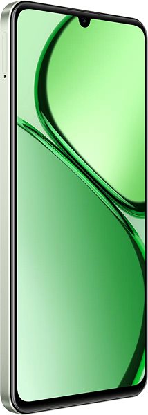 Handy Realme C63 8GB/256GB Jade Green ...