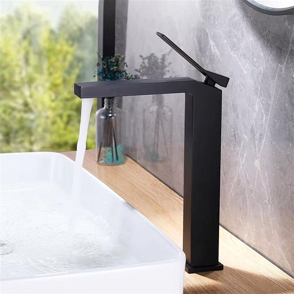 Tap REA High basin mixer Duet black (REA-B4414) ...