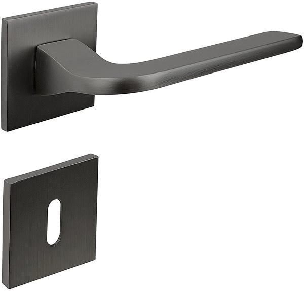 Door hardware Richter Czech RK.E36.VICENZA.BB.ANT .