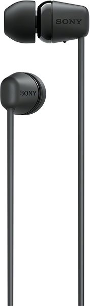 Wireless Headphones Sony WI-C100, Black Screen