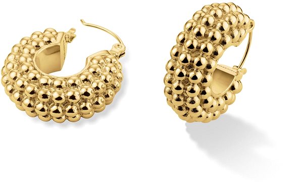 Rosefield JEBHG-J797 earrings .