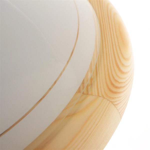 Ceiling Light Rabalux - Ceiling Light, 2xE27/60W/230V Features/technology