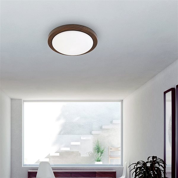 Ceiling Light Rabalux - Ceiling Light, 2xE27/40W/230V Lifestyle