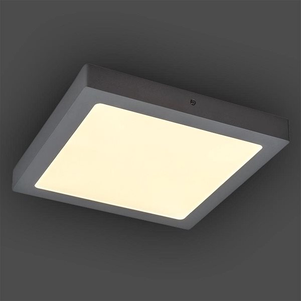 Ceiling Light Rabalux - LED Ceiling Light, LED/24W/230V Lifestyle