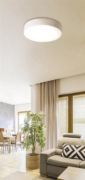 Ceiling Light Rabalux - LED Ceiling Light, LED/36W/230V ...