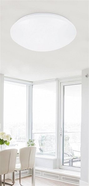 Ceiling Light Rabalux - LED Ceiling Light, 1xLED/12W/230V Lifestyle