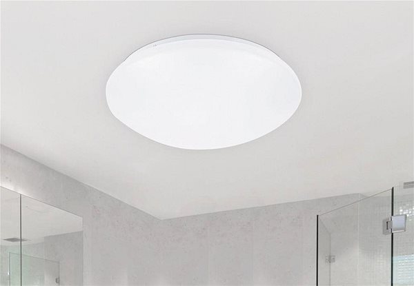 Ceiling Light Rabalux - LED Ceiling Light, 1xLED/24W/230V Lifestyle