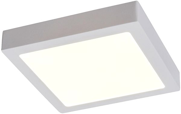 Ceiling Light Rabalux - LED Ceiling Light, LED/18W/230V ...