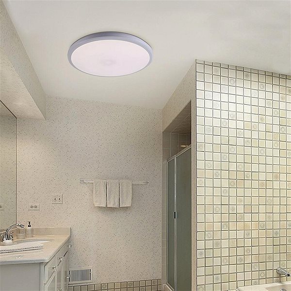 Ceiling Light Rabalux - LED Bathroom Ceiling Light, LED/36W/230V/IP65 Lifestyle