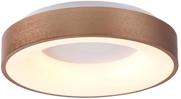 Ceiling Light Rabalux 5053 - LED Ceiling Light CARMELA, LED/50W/230V Screen