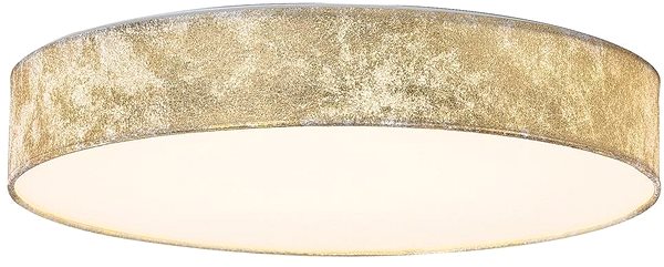 Ceiling Light Rabalux - LED Ceiling Light, LED/24W/230V Screen
