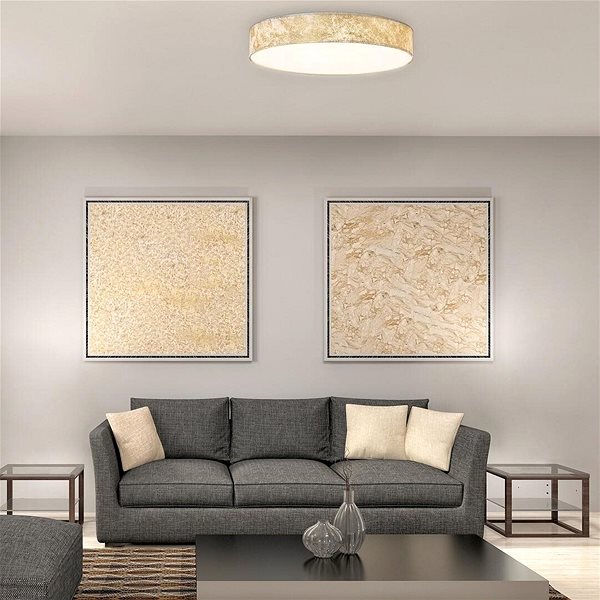 Ceiling Light Rabalux - LED Ceiling Light, LED/24W/230V Lifestyle