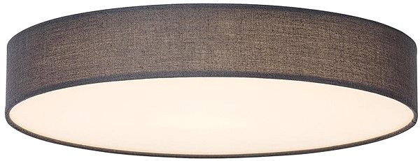 Ceiling Light Rabalux - LED Ceiling Light, LED/24W/230V Screen