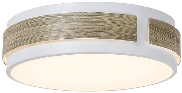 Ceiling Light Rabalux - LED Dimmable Ceiling Light, LED/18W/230V Screen