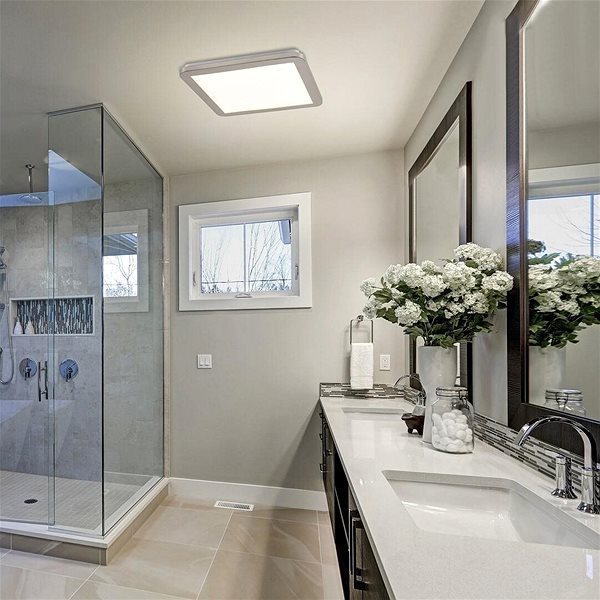Ceiling Light Rabalux - LED Dimmable Bathroom Ceiling Light, LED/24W/230V/IP44 Lifestyle