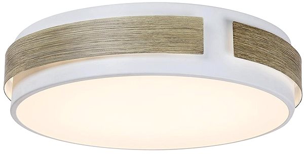 Ceiling Light Rabalux - LED Dimmable Ceiling Light, LED/24W/230V Screen