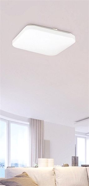 Ceiling Light Rabalux - LED Ceiling Light, 32W/230V Lifestyle