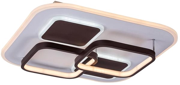 Ceiling Light Rabalux 6250 - LED Dimmable Ceiling Light DELION, LED/50W/230V Lateral view