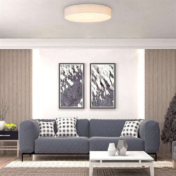 Ceiling Light Rabalux - LED Ceiling Light, LED/24W/230V Lifestyle