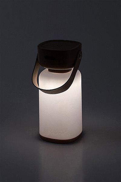Tischlampe Rabalux Funes 77143 ...
