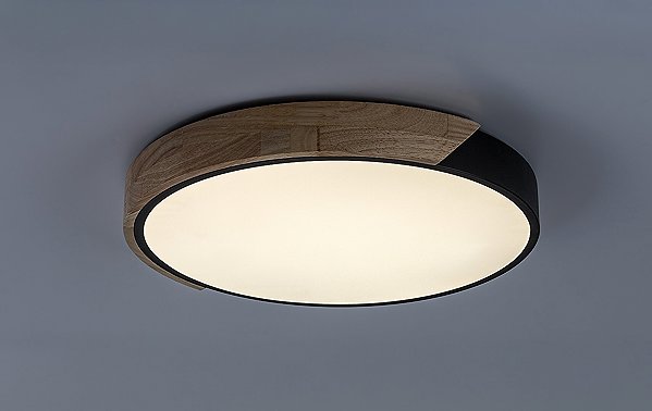 Deckenleuchte Rabalux MAPLE2 71416 ...